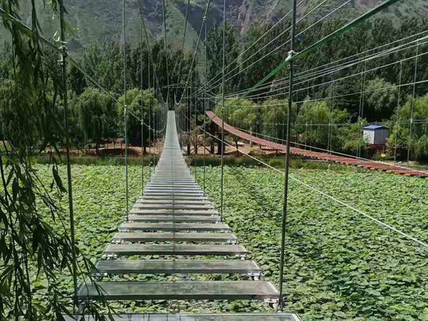 步步惊心